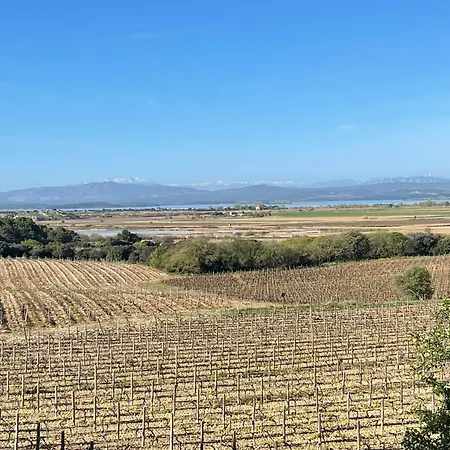 La Maison Sur La Cote Fleury (Aude)
